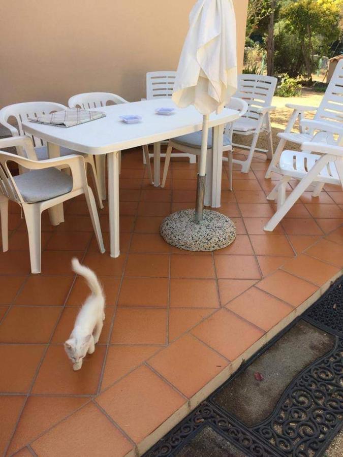 Casa Maltinu Villa Santa Teresa Gallura Luaran gambar